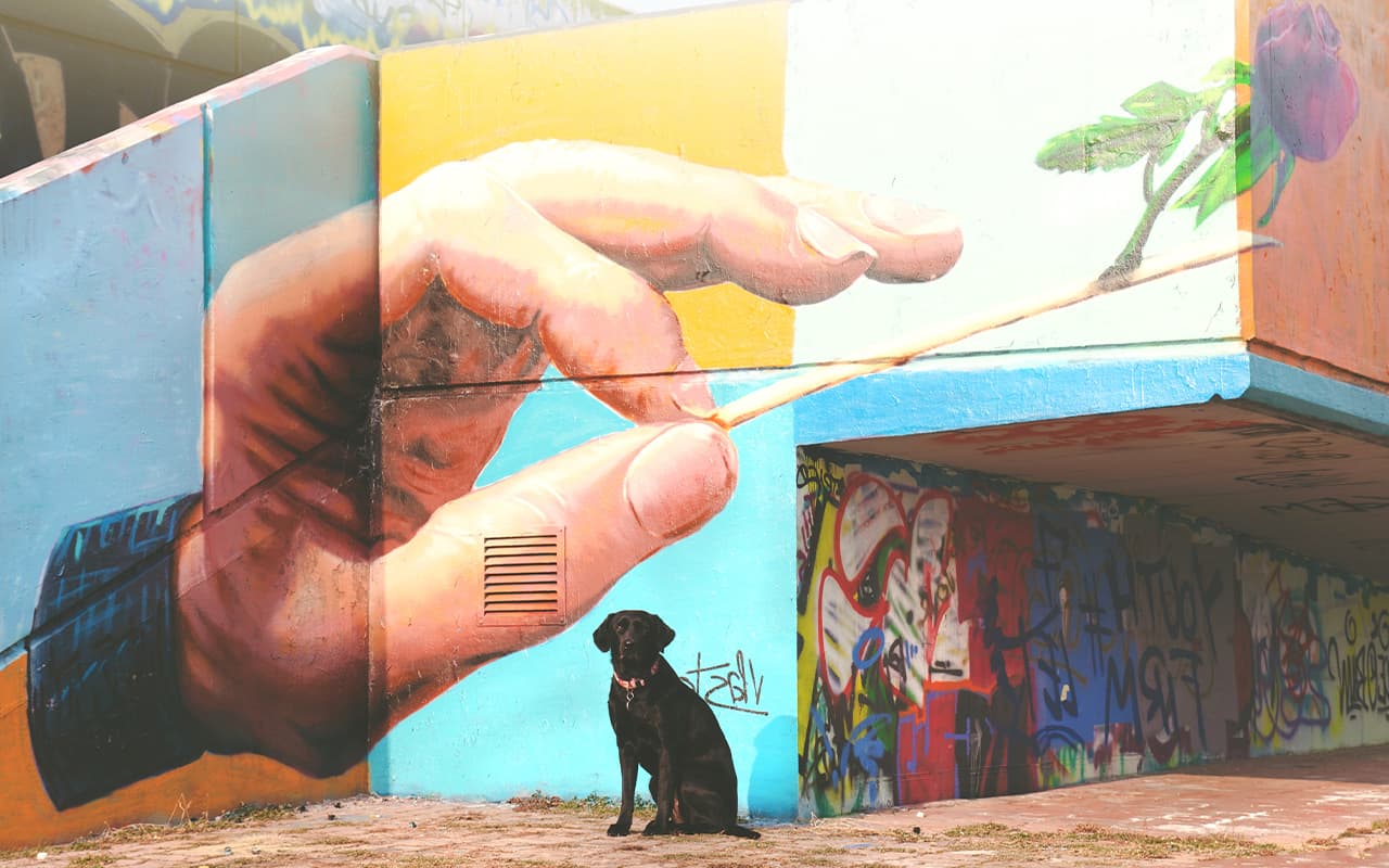 art